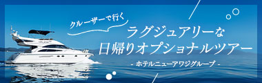 オプショナルクルーザーツアー
