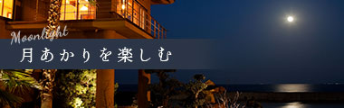 月明かりを楽しむ